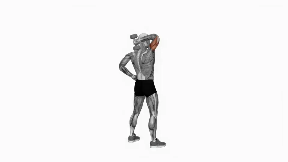 Single Arm Dumbbell Overhead Triceps Extension