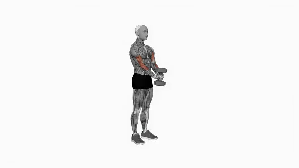 Dumbbell Two-Hand Hammer Curl