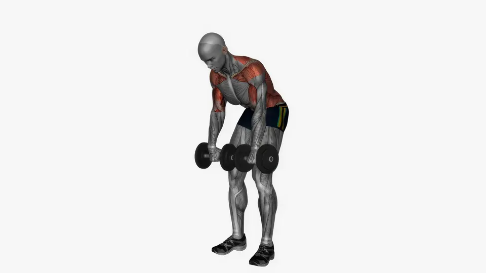 Overhand Grip Dumbbell Bent Over Row