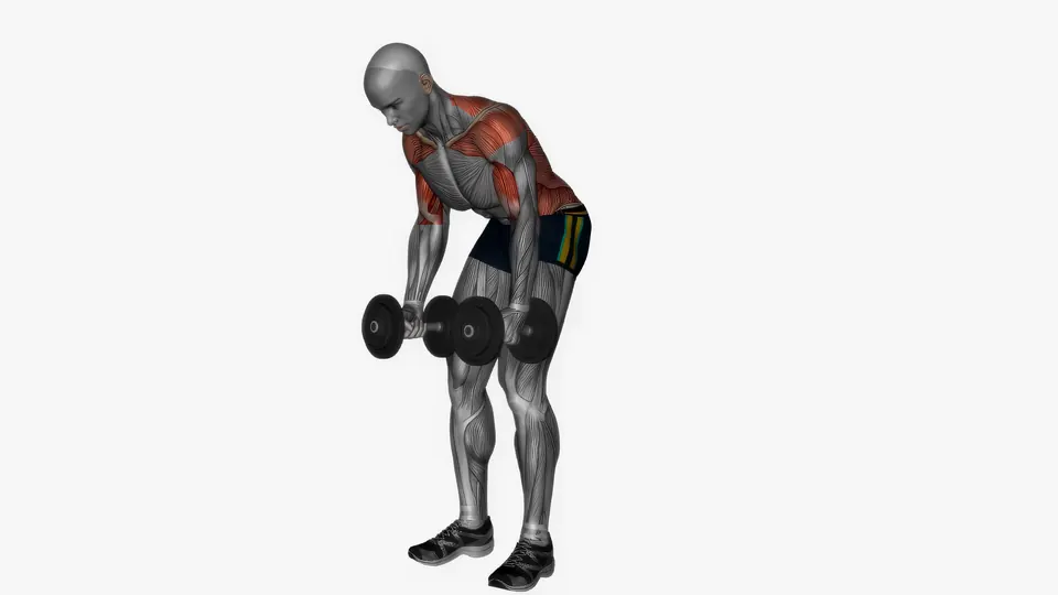 Bilateral Dumbbell Row