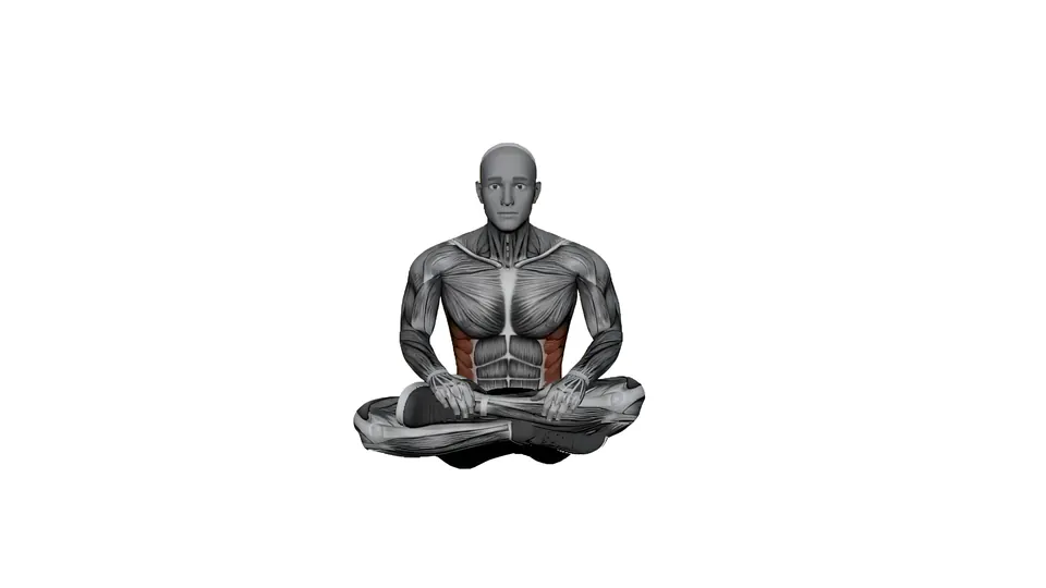 Easy Seated Twist