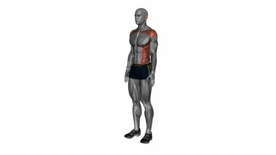 Standing Back Bend Stretch