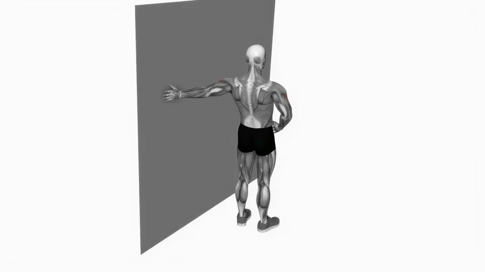 Wall Biceps Stretch