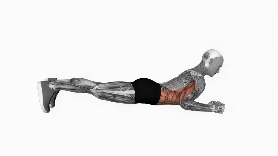 Forearm Plank Cat-Cow