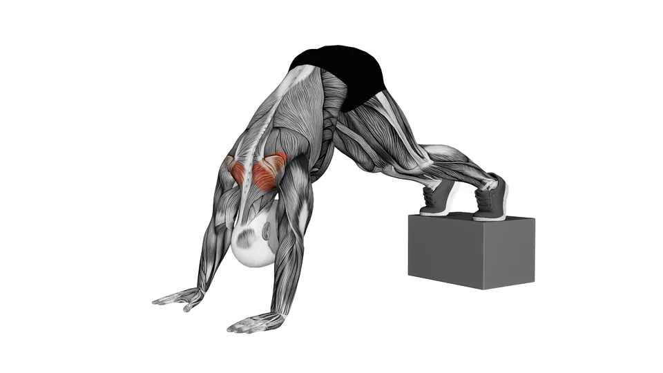 Elevated Pike Shrug