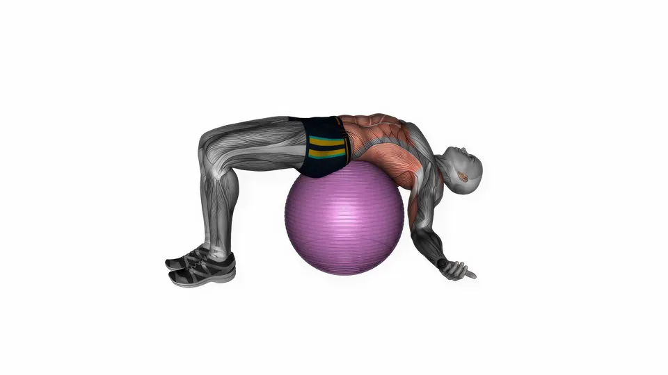 Supine Stability Ball Stretch
