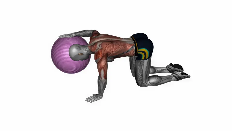 Kneeling Stability Ball Lat Stretch