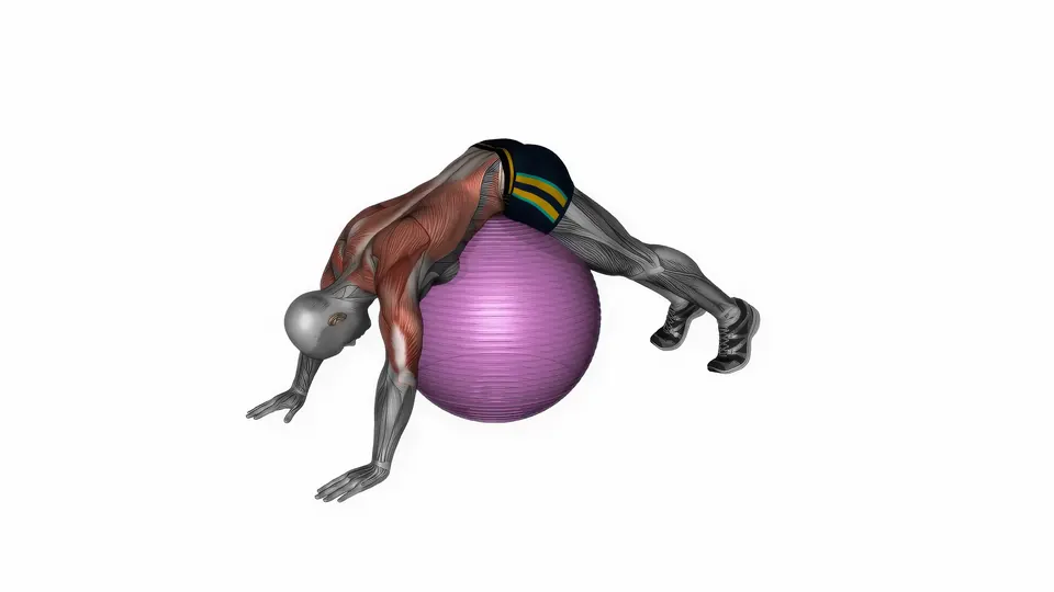 Stability Ball Back Stretch