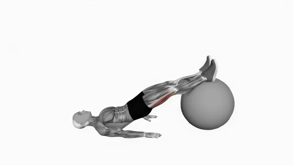 Single Leg Swiss Ball Leg Curl