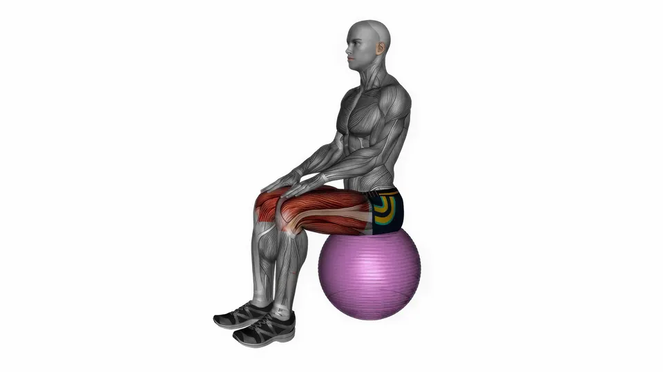 Stability Ball Seated Hamstring Stretch