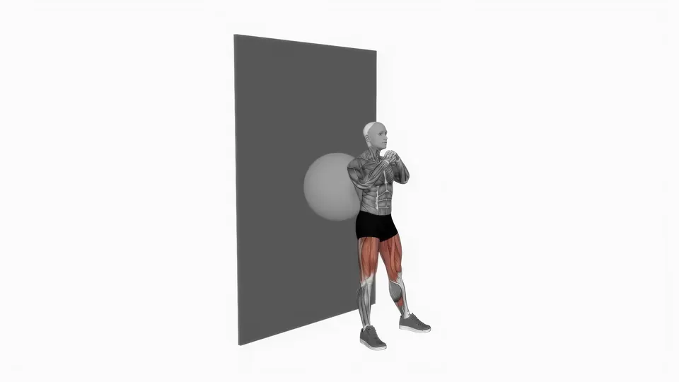 Stability Ball Wall Squat