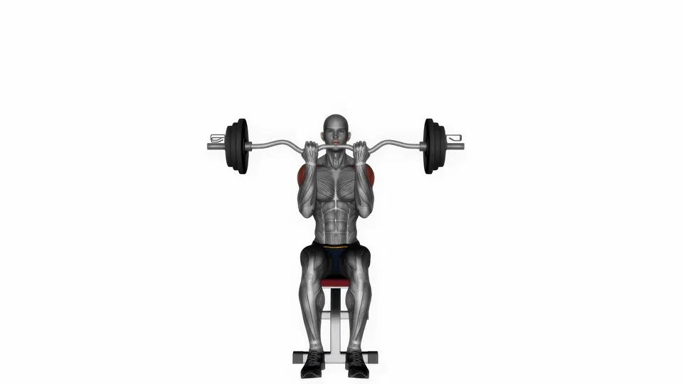 Seated EZ Bar Overhead Press