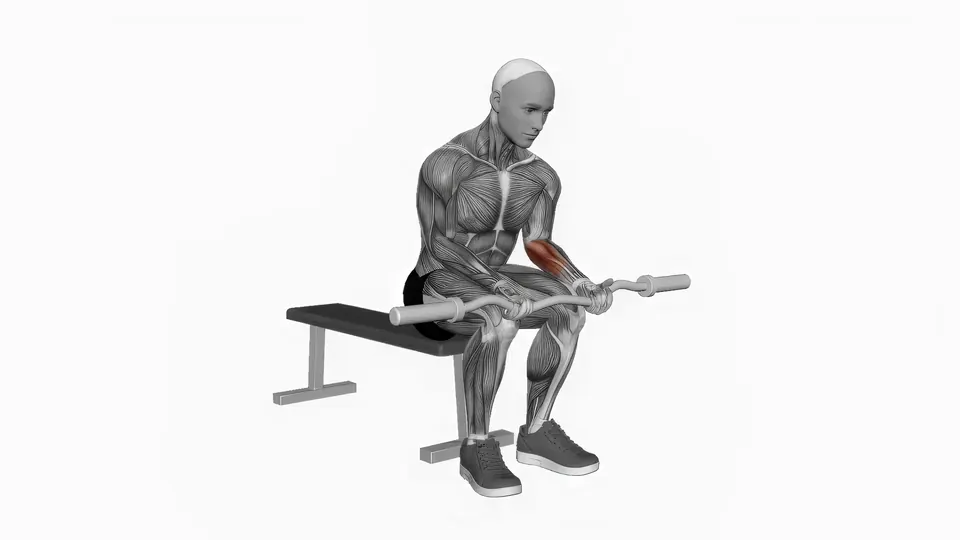 EZ Bar Wrist Curl