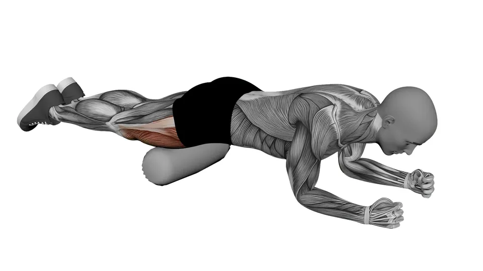 Foam Roll Quads