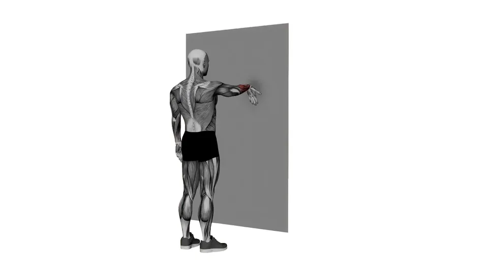 Wall Wrist Flexor Stretch