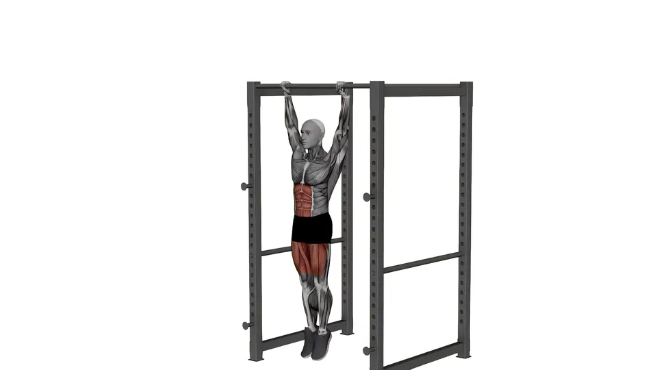 Front Lever Raise