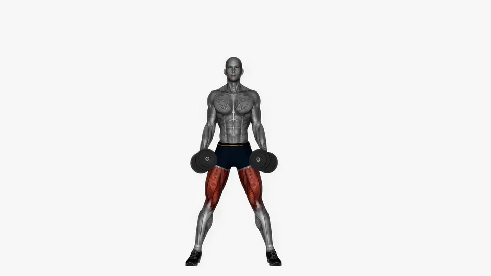 Wide Stance Dumbbell Squat