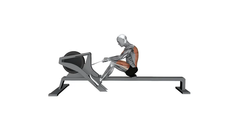 Rowing Machine