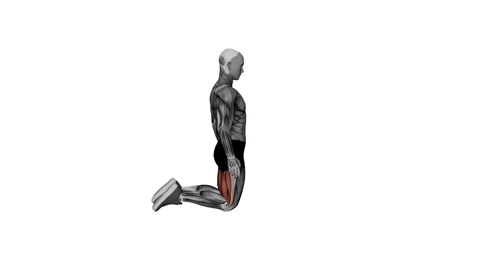 Half Monkey Pose (Ardha Hanumanasana)
