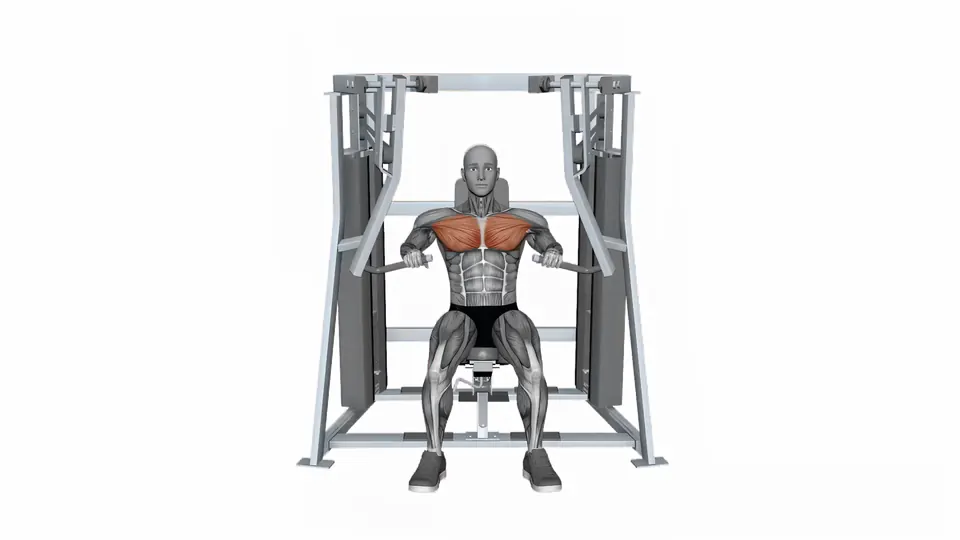 Alternating Machine Decline Chest Press