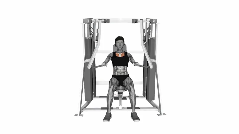 Machine Decline Chest Press
