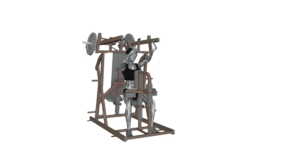 Machine High Row