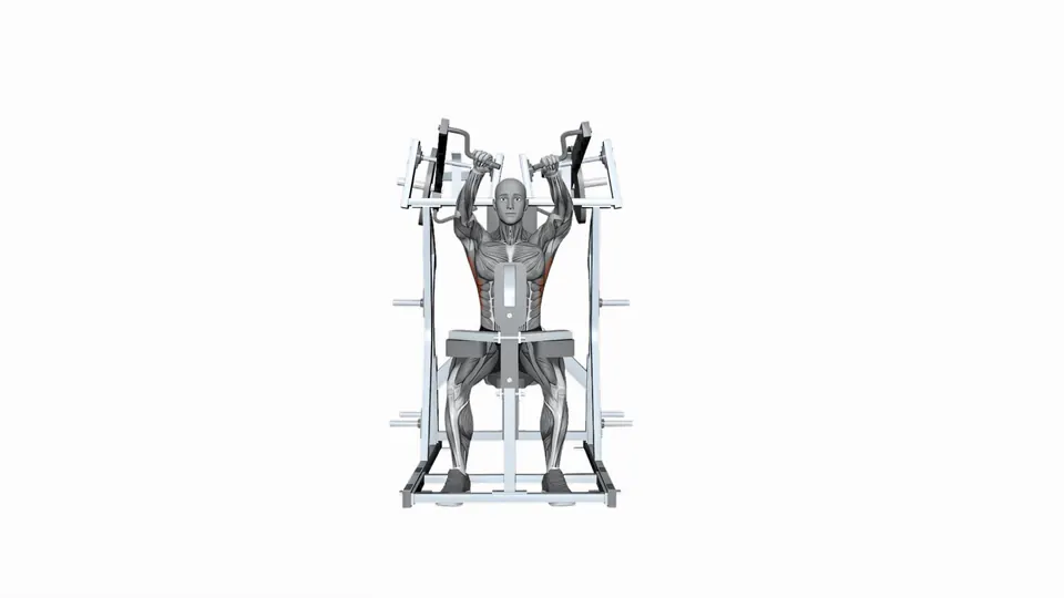 Single Arm Machine High Row