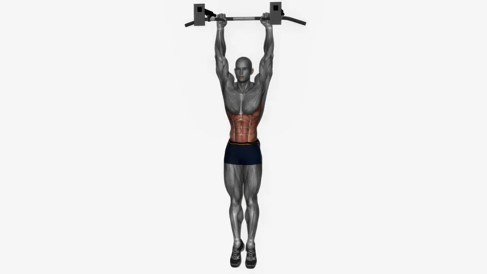 Hanging Oblique Knee Raise