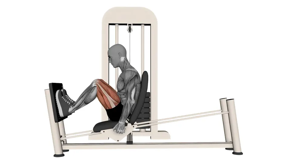 Horizontal Leg Press