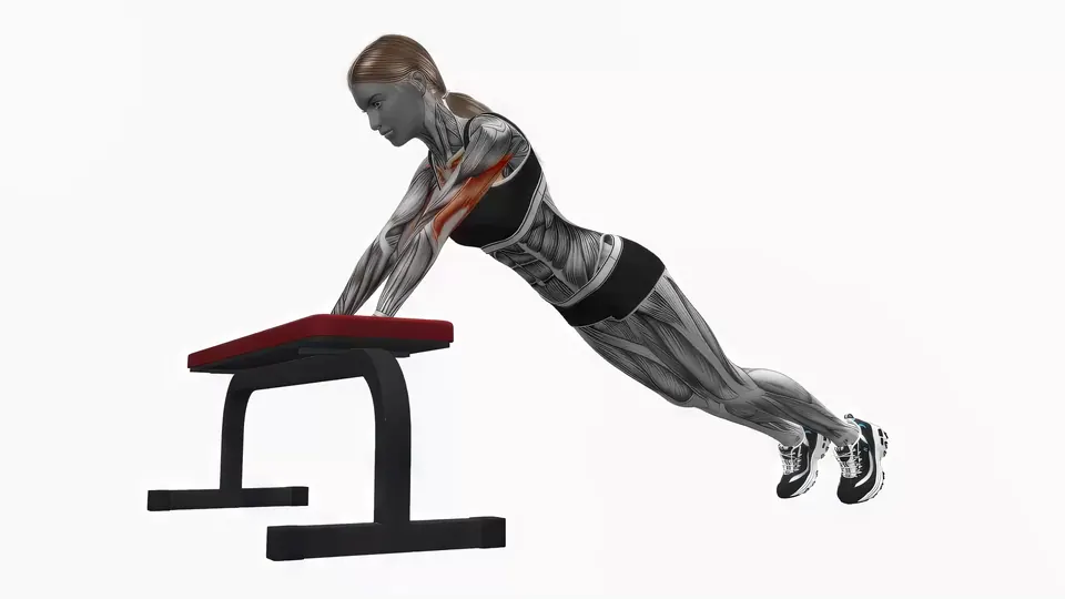 Incline Bodyweight Triceps Extension
