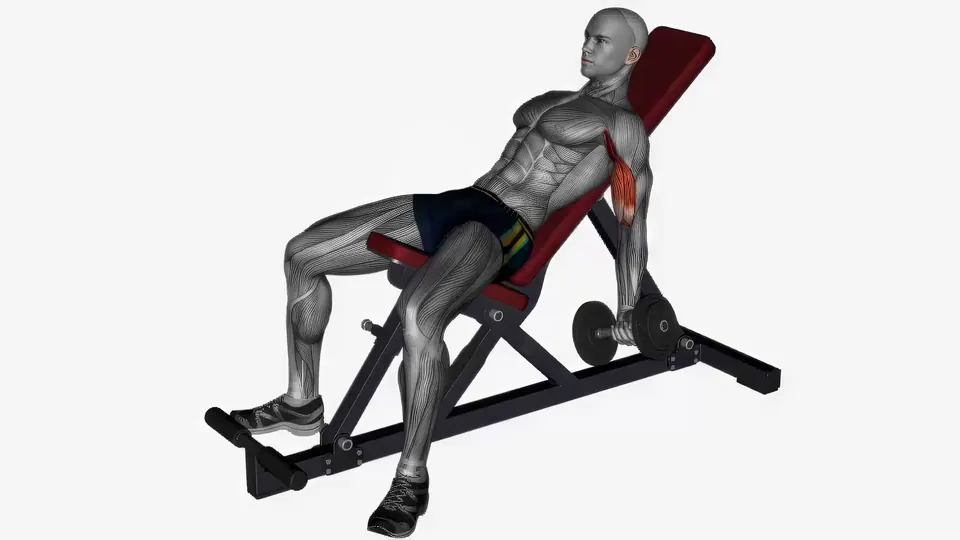 Incline Dumbbell Curl