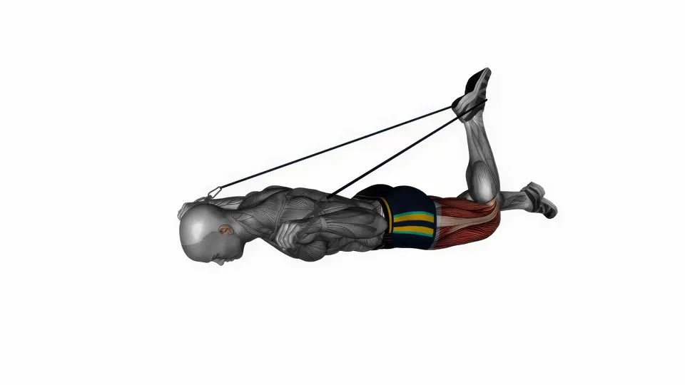 Lying Resistance Band Quad Stretch