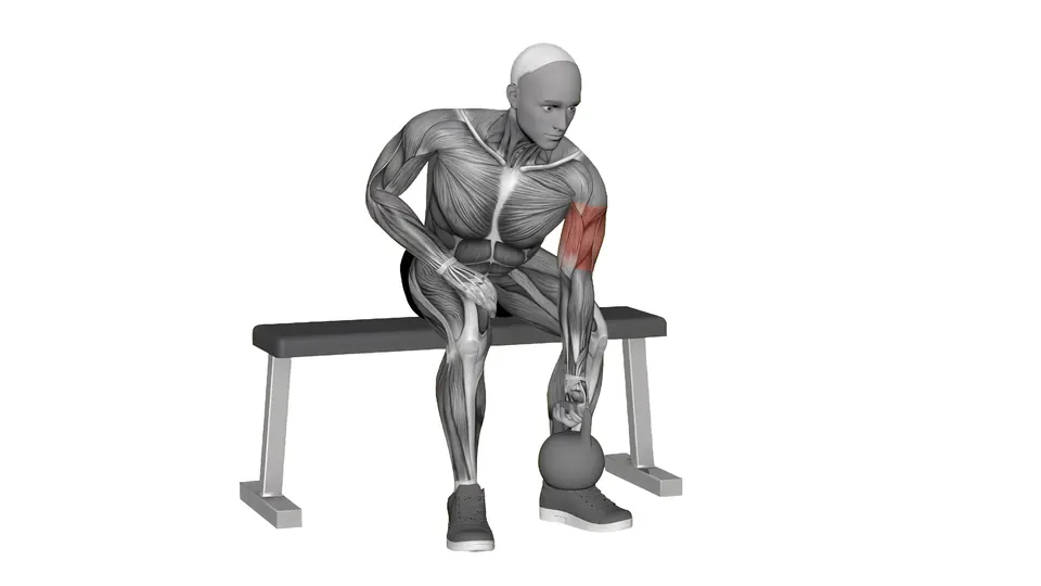 Kettlebell Concentration Curl