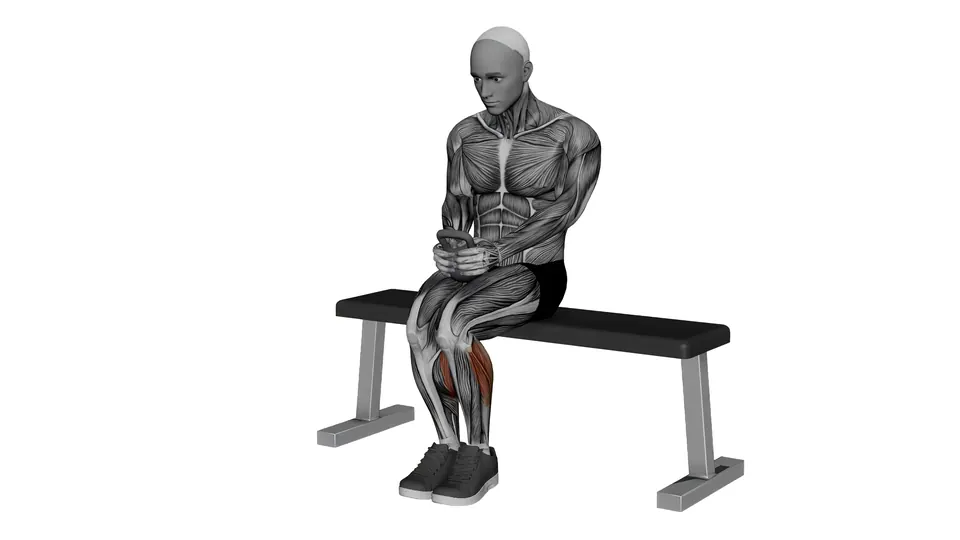 Kettlebell Seated Calf Raise