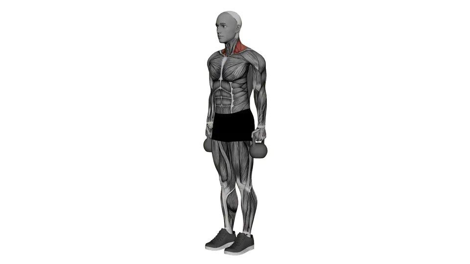 Kettlebell Shrug