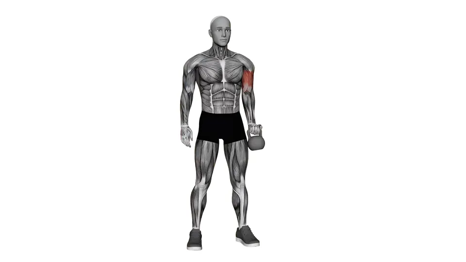 Single Arm Kettlebell Curl