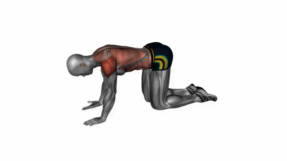 Kneeling Lat Stretch