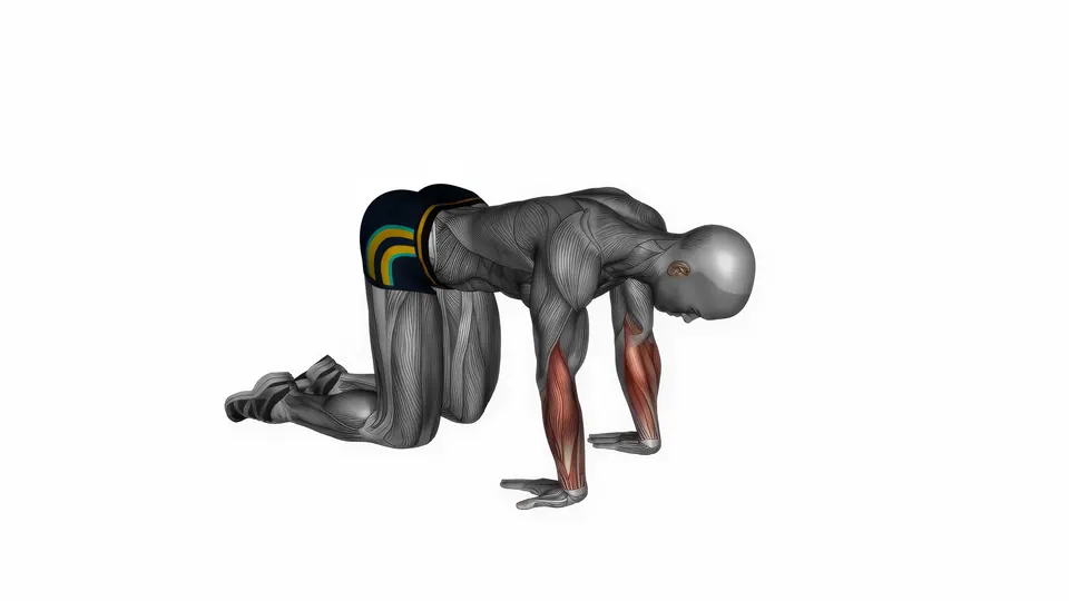 Kneeling Wrist Flexor Stretch