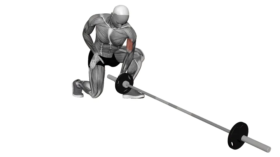 Landmine Concentration Curl