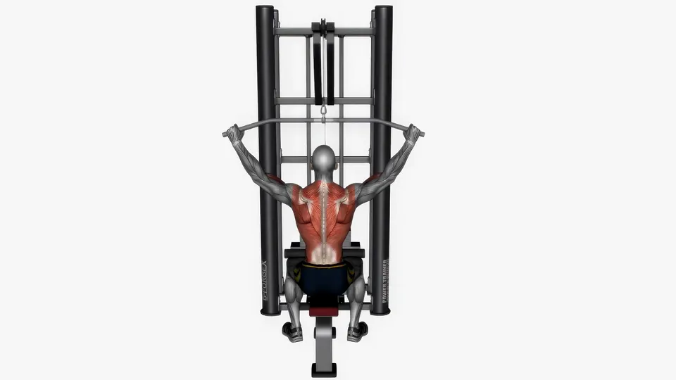 Lat Pulldown (Wide Grip)