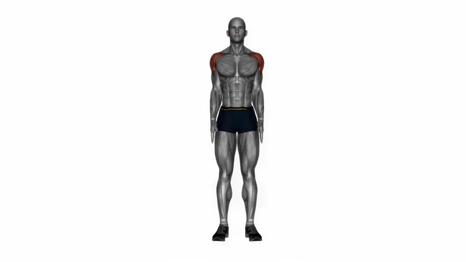 Bodyweight Lateral Raise