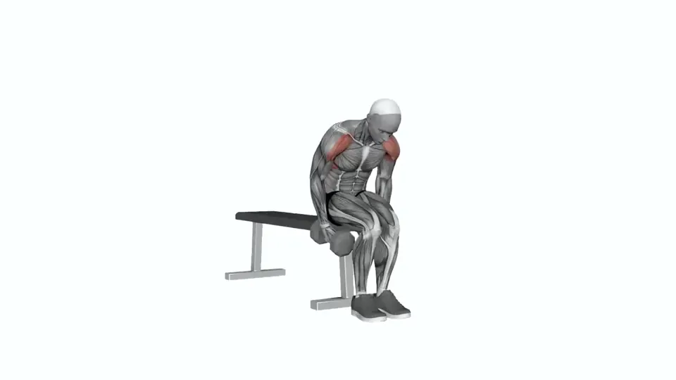 Seated Dumbbell Swing Lateral Raise