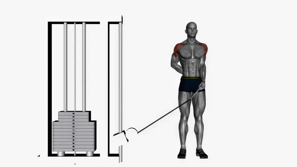 Cable Lateral Raise