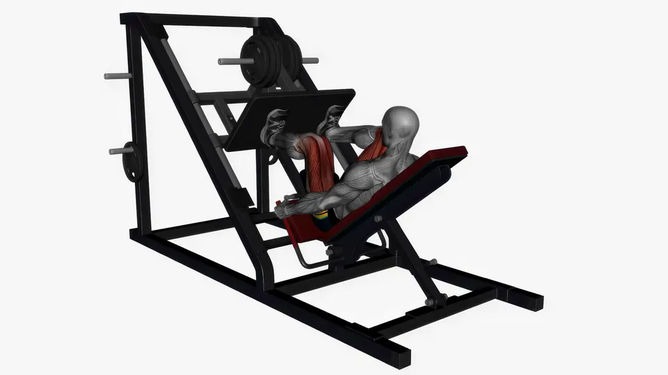 Leg Press