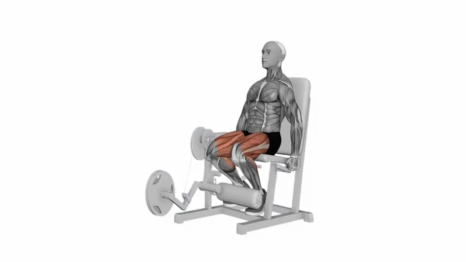 Leg Extension
