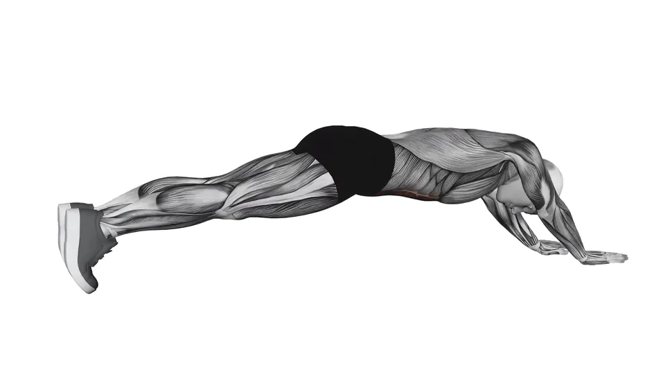 Long Lever Plank