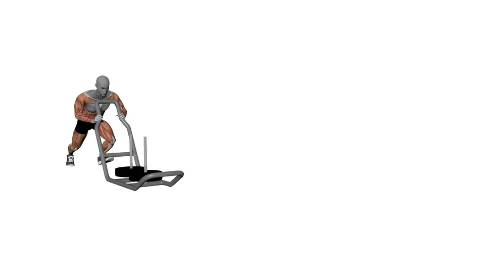 Sled Push