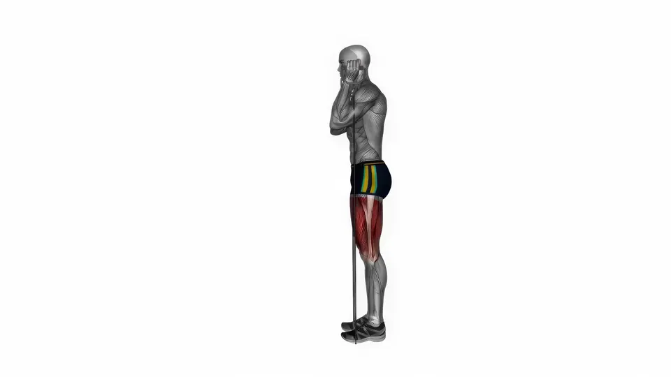 Resistance Band Reverse Lunge