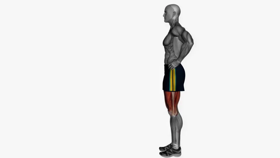 Bodyweight Forward Lunge