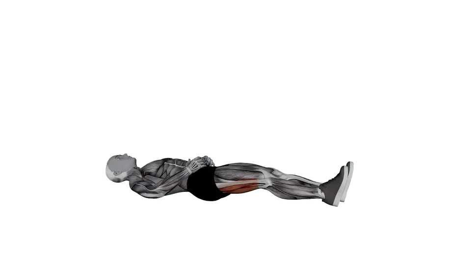 Single Leg Lying Knee Hug Stretch